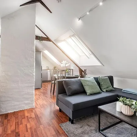 Apt. Close To Centre Trondheim